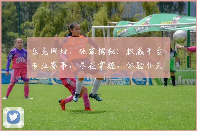 乐竞网址，独家揭秘：权威平台，专业赛事，尽在掌握，体验非凡